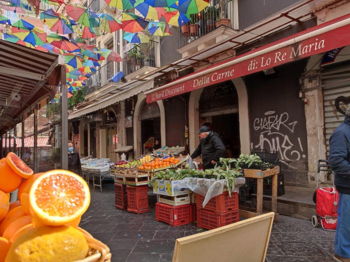 Maya's 2 Catania